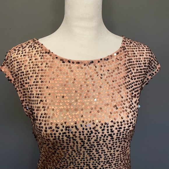 LIMITED Pink Sequin Sheer Sleeveless Blouse / Tunic - Size Small - Picture 3 of 16